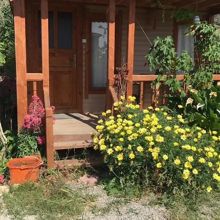 Gulseven Willa Dalaman